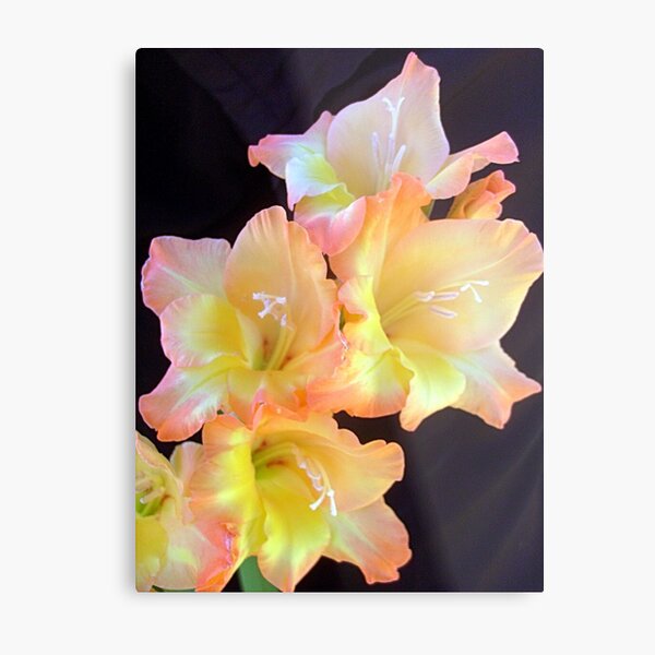 Item preview, Full of delicate beauty designed and sold by Ana Belaj.