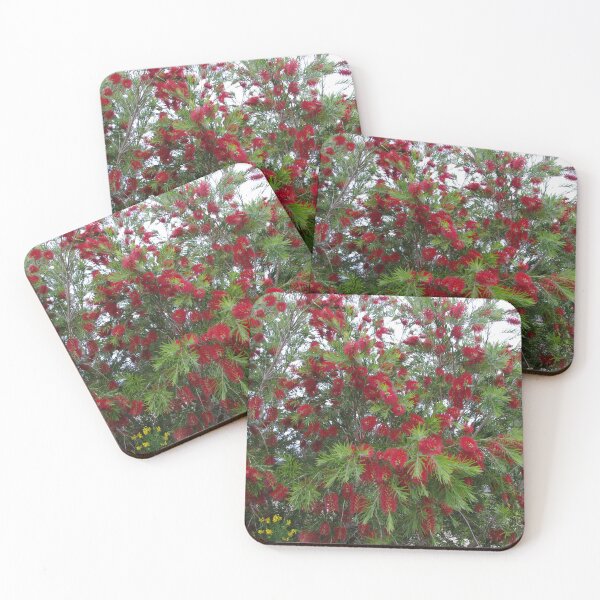 Item preview, Callistemon in Flower designed and sold by davidjc.
