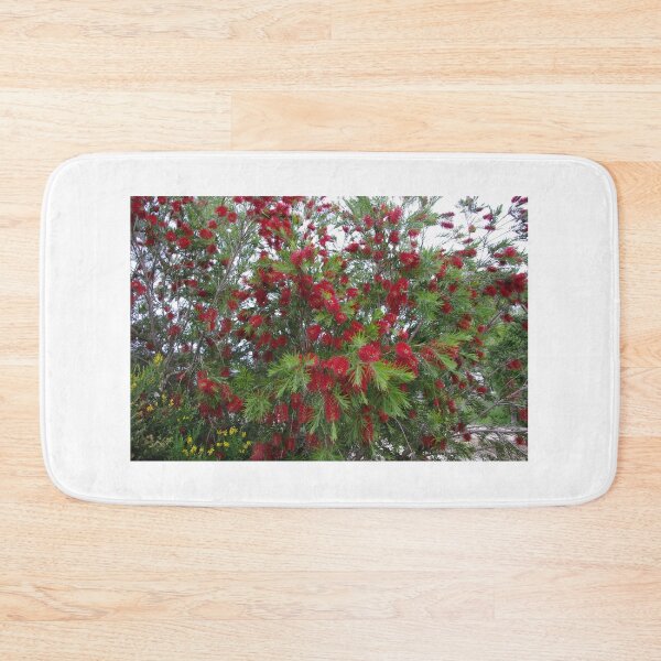 Item preview, Callistemon in Flower designed and sold by davidjc.