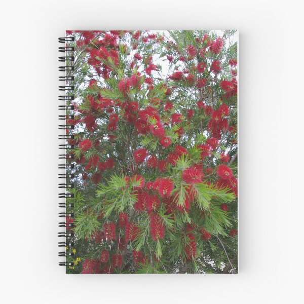 Item preview, Callistemon in Flower designed and sold by davidjc.