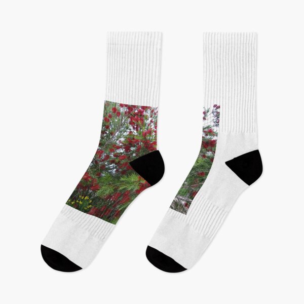 Item preview, Callistemon in Flower designed and sold by davidjc.