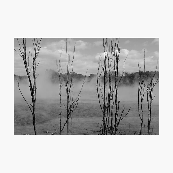 The four Photographic Print