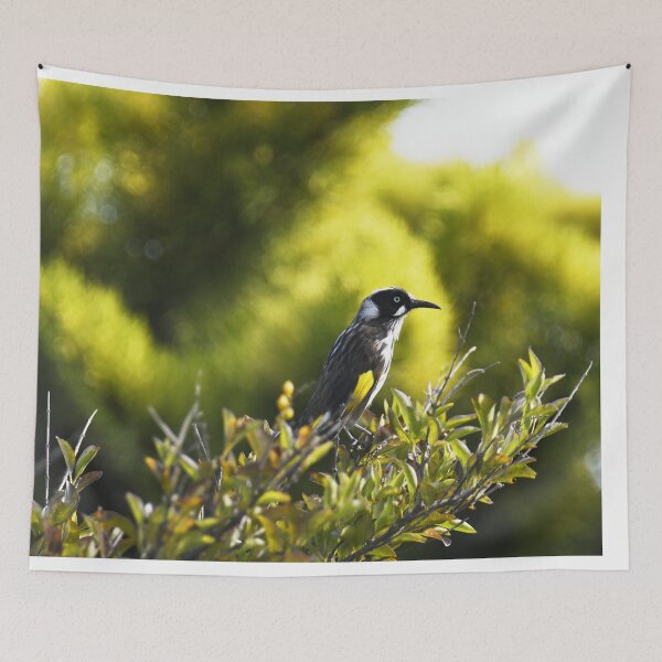 Item preview, New Holland Honeyeater designed and sold by imaginethis.