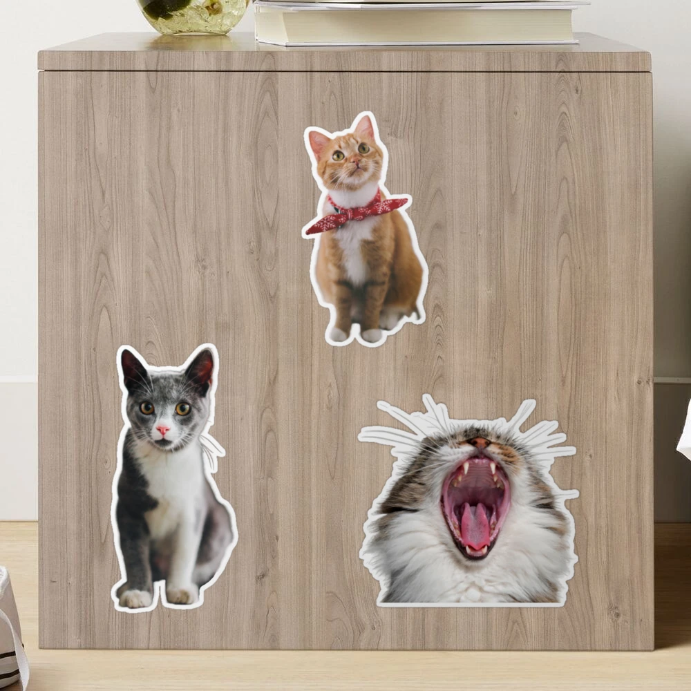 Pegatina for Sale con la obra «paquete de pegatinas - Regalo adorable de  gatitos realistas para los amantes de los gatos - gatos bebés» de  PetPrintsHub