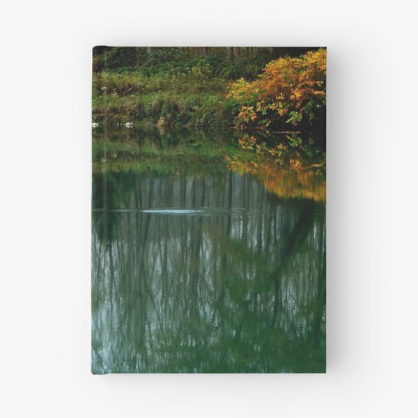Item preview, Le Rhône.....France.....Reflection of a flying Bird designed and sold by Imi Koetz.
