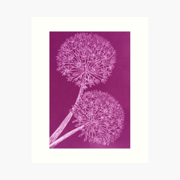 Item preview, Purple Allium designed and sold by MindyourAntlers.