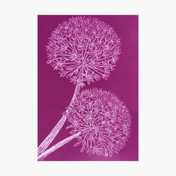 Item preview, Purple Allium designed and sold by MindyourAntlers.