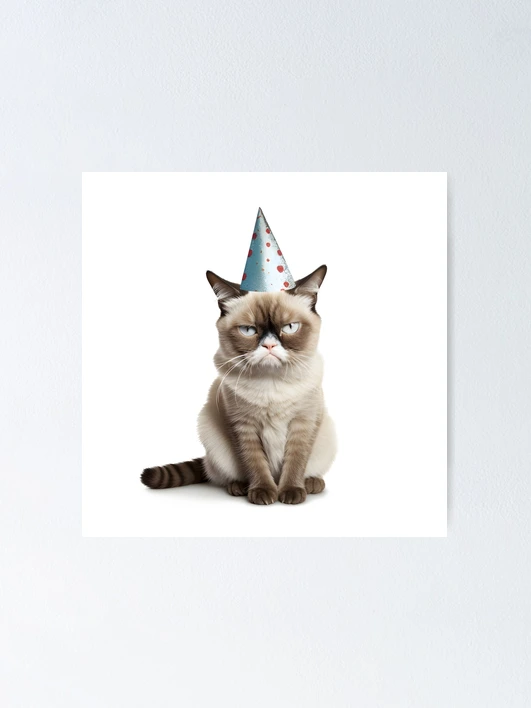 Grumpy Cat With A Hat Geburtstagskarte – Lustige Karte Für Katzenliebhaber