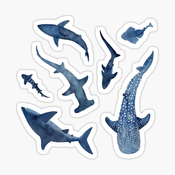 Silly Stickers Thresher Shark - Rambunctious Edition Art Board Print for  Sale by Alex Helms