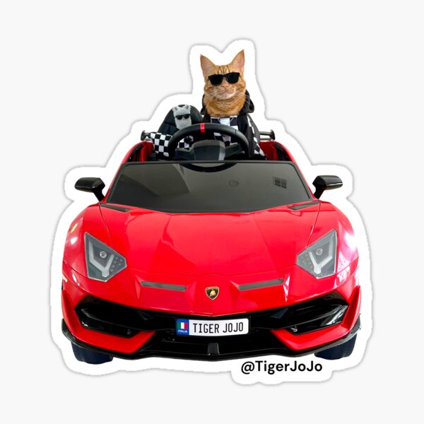 Item preview, JoJo & No Drama Lambo Car Photo designed and sold by tigerjojo.