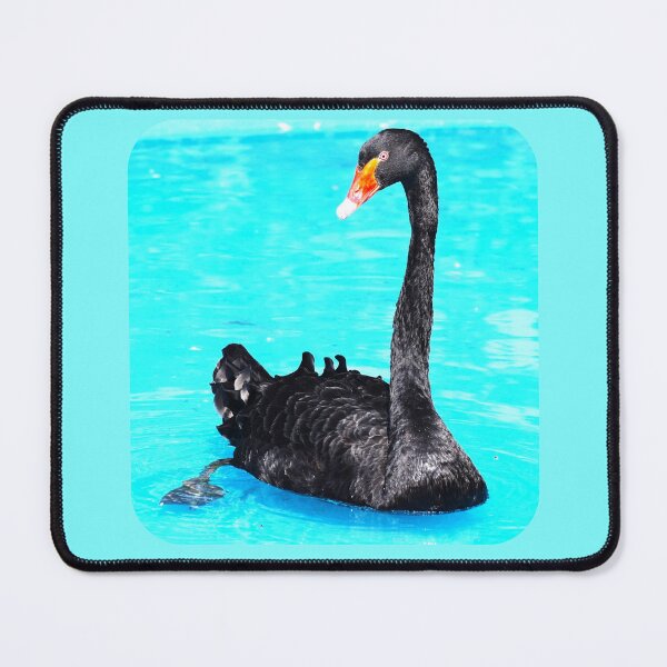 Item preview, Black Swan at Southwick's - blue background designed and sold by Louise-Mae.