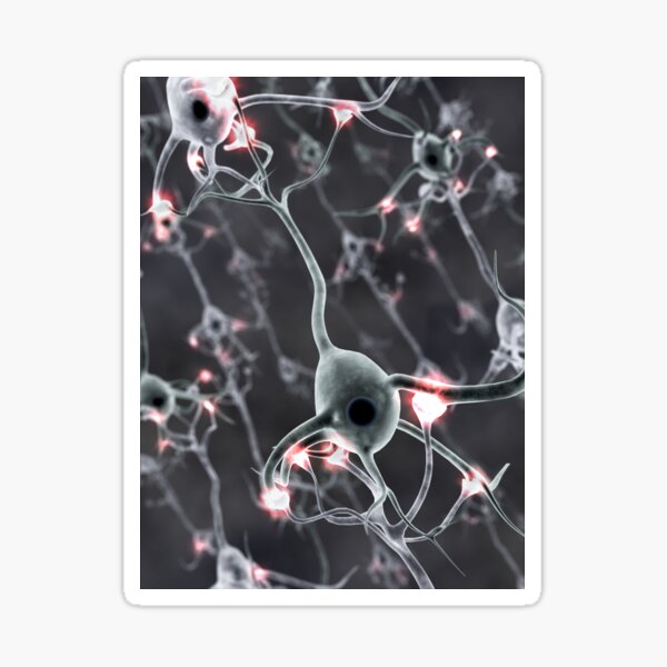 Firing Neural Network Sticker