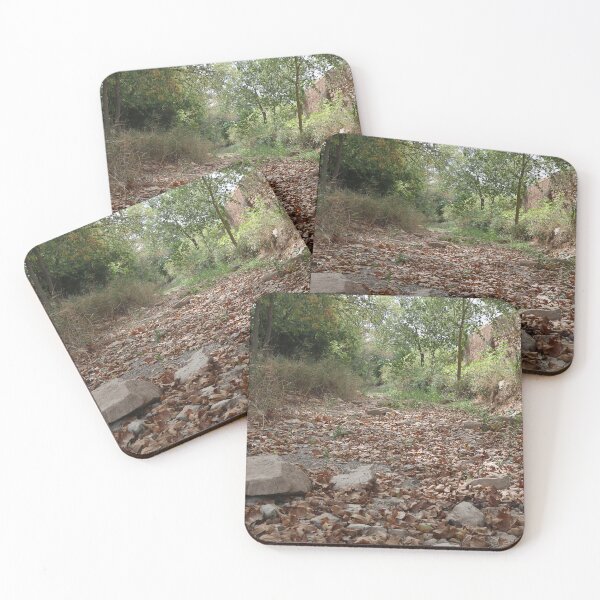 Item preview, Drought, no doubt. designed and sold by Paul Pasco.