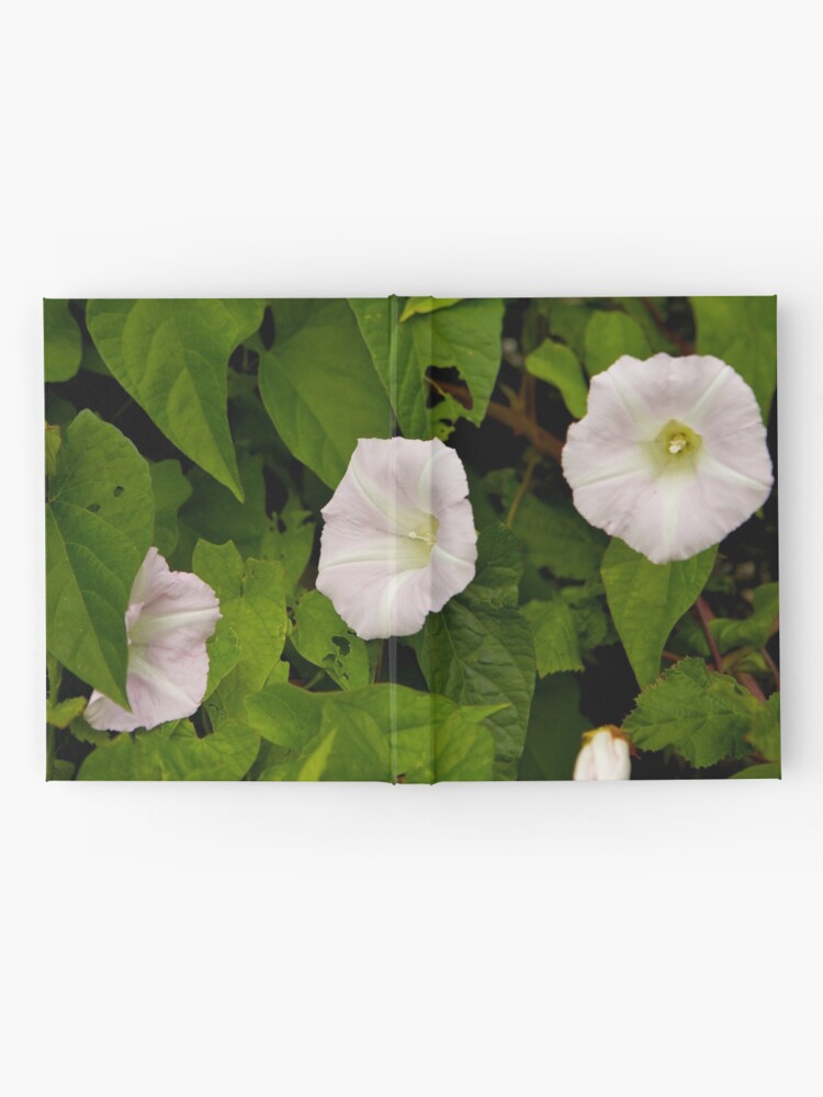 Alternate view of Sea Bindweed, Muckross Head, Donegal Hardcover Journal
