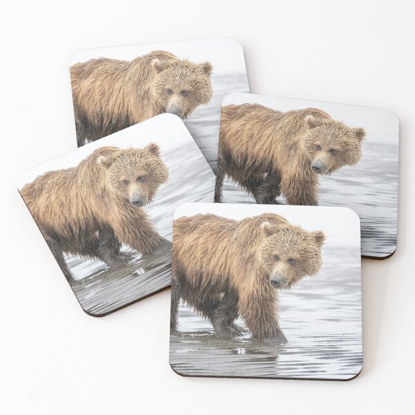 Item preview, Brown Bear Digging for Clams Alaska 2 designed and sold by PhotoArt by Joan Carroll.