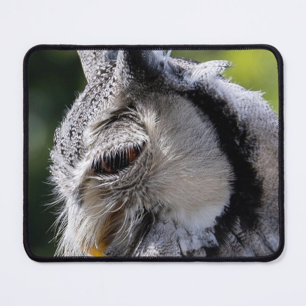 Item preview, Owl designed and sold by AeMPhoto.