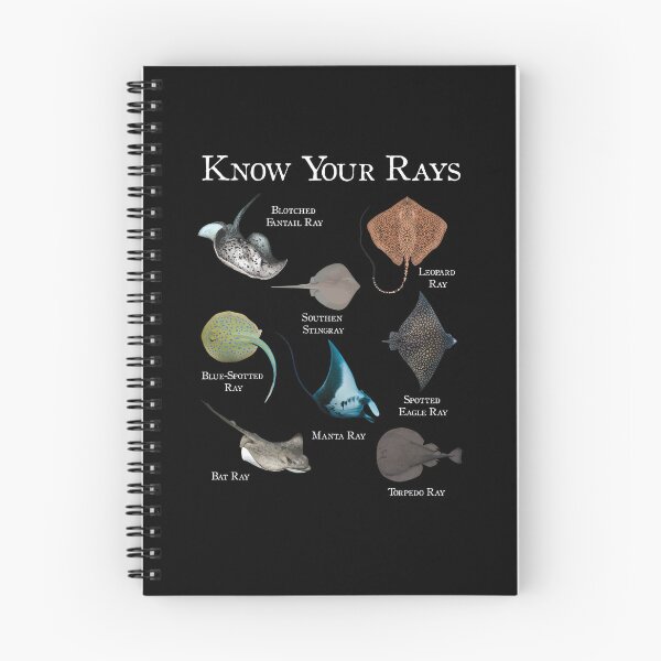 Artikelvorschau, Manta Rochen Arten Geschenk Meeresbiologie Tauchen Ozean entworfen und verkauft von Lenny Stahl.