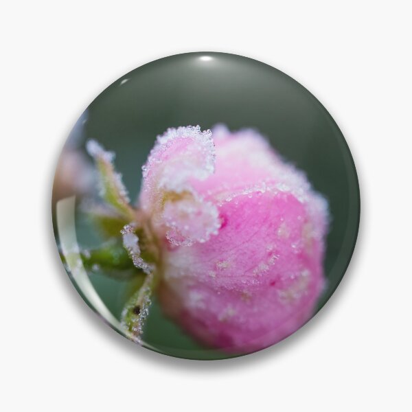 Item preview, Frosty Rosebud designed and sold by AeMPhoto.