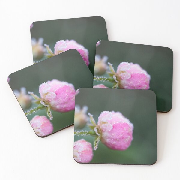 Item preview, Frosty Rosebud designed and sold by AeMPhoto.