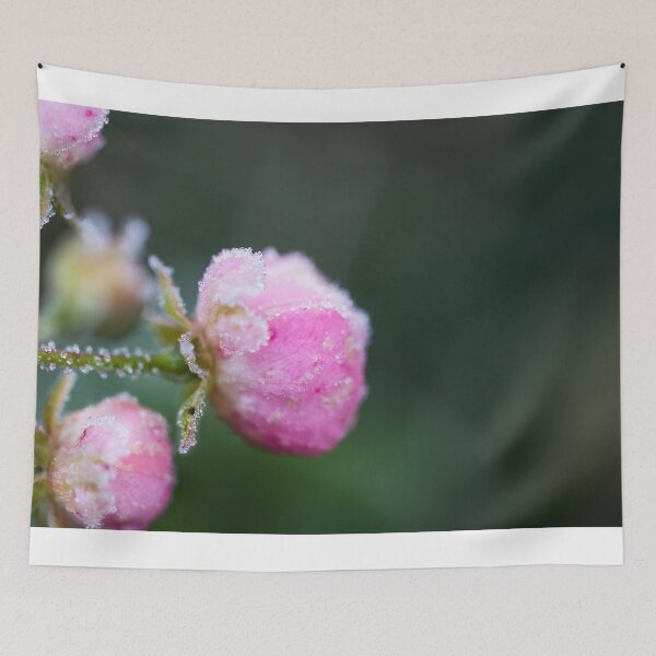 Item preview, Frosty Rosebud designed and sold by AeMPhoto.