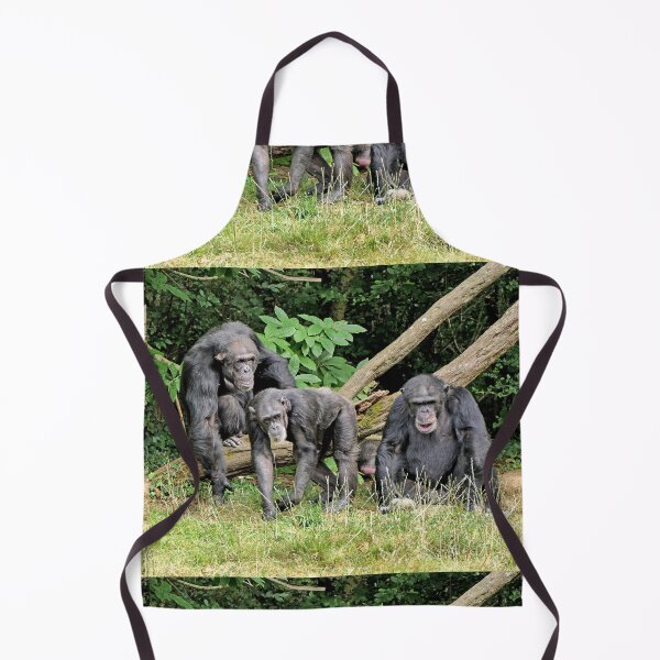 Item preview, vr 3391 / finition 2023 3 - Singes " Les Chimpanzés " Okaio Créations Olavia-Olao designed and sold by o.okaïo.