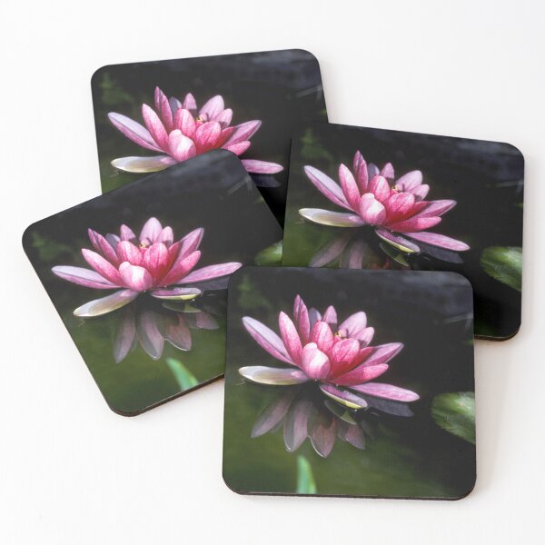 Item preview, Water Lily on a Pond designed and sold by GillianTapping.