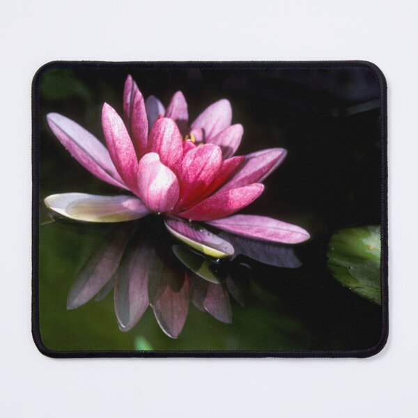 Item preview, Water Lily on a Pond designed and sold by GillianTapping.