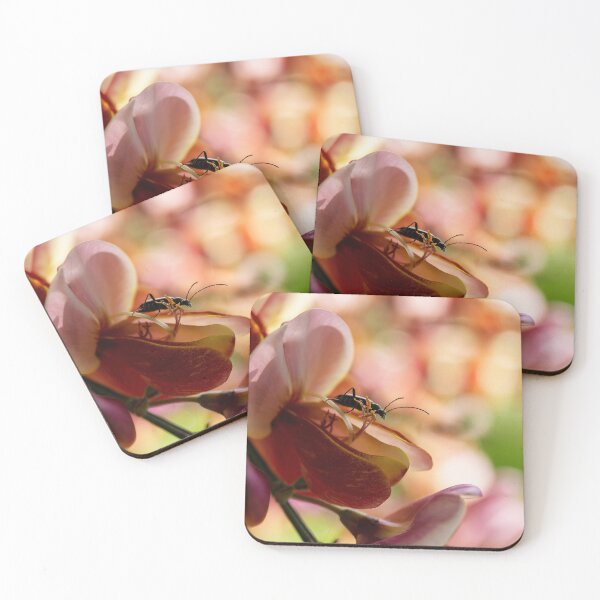 Item preview, Ready to step outside designed and sold by AeMPhoto.