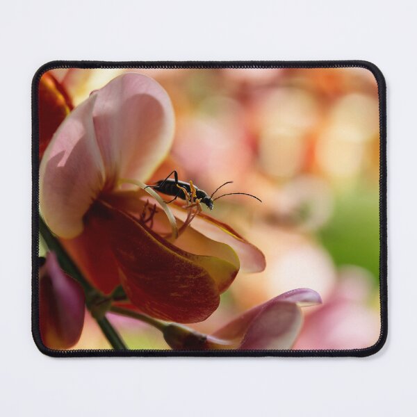 Item preview, Ready to step outside designed and sold by AeMPhoto.