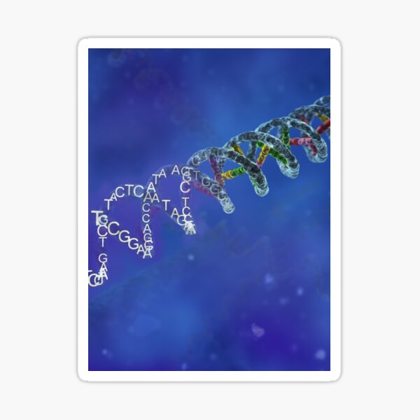 Genetic Code Sticker