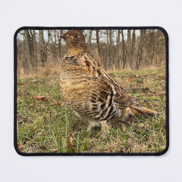 Item preview, Ruffled Grouse designed and sold by Bizmuth97.