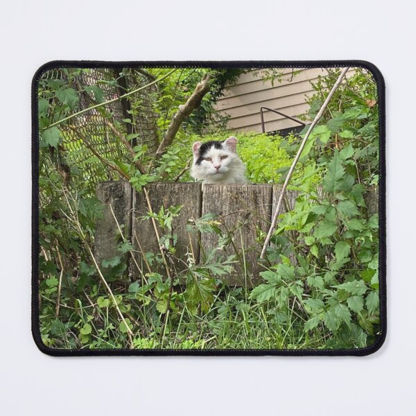 Item preview, Porch Kitty designed and sold by Bizmuth97.