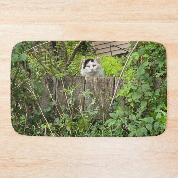 Item preview, Porch Kitty designed and sold by Bizmuth97.