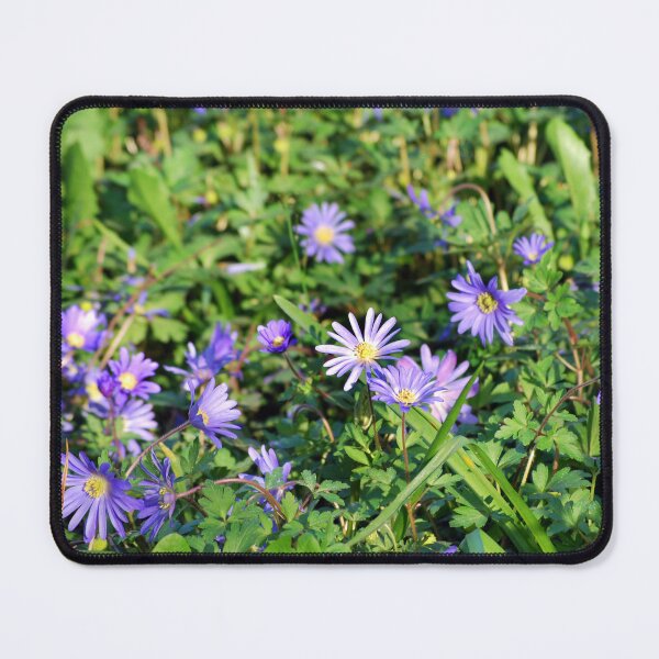 Item preview, Aster Flowers designed and sold by MitaDreamDesign.