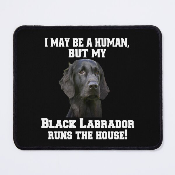 Item preview, Black Labrador Retriever I May Be A Human, But My Black Labrador designed and sold by fantasticdesign.