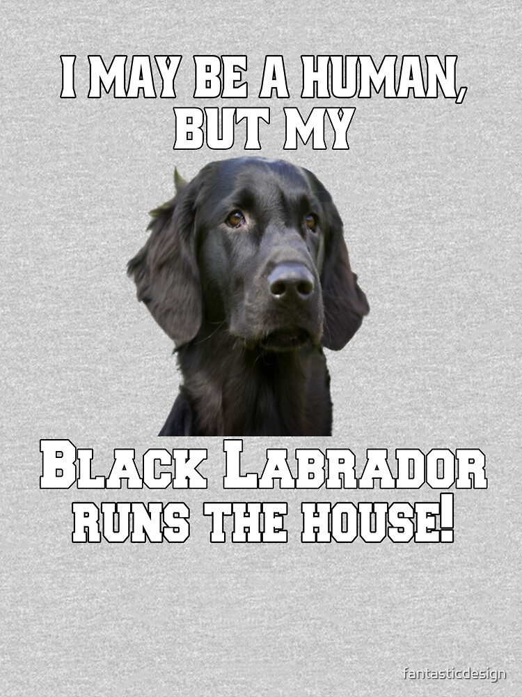 puede el labrador retriever ser negro