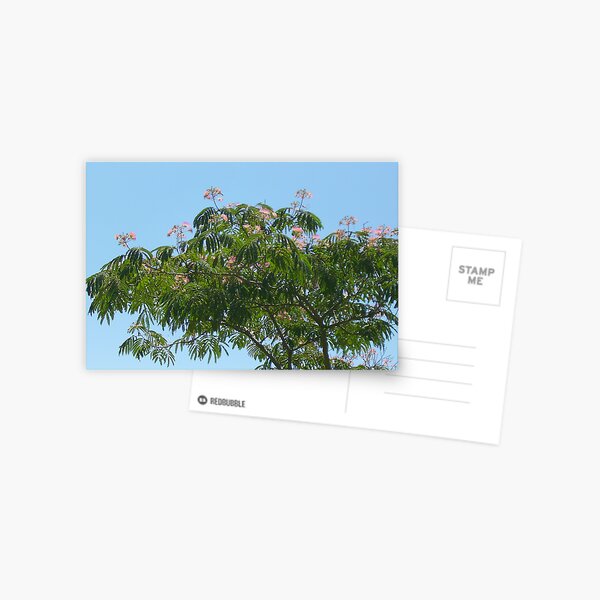 Item preview, Pink Silk Tree designed and sold by Skyhorse.