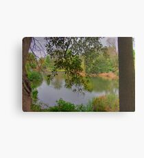 Lake Metal Print