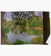 Lake Poster