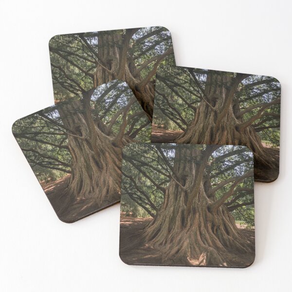 Item preview, Dawn Redwood designed and sold by rose-waterhause.