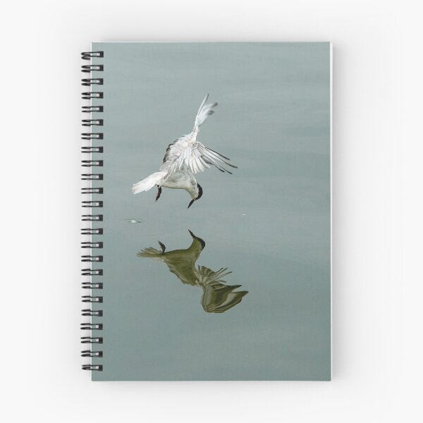 Item preview, Tern Pouncing designed and sold by DonMc.