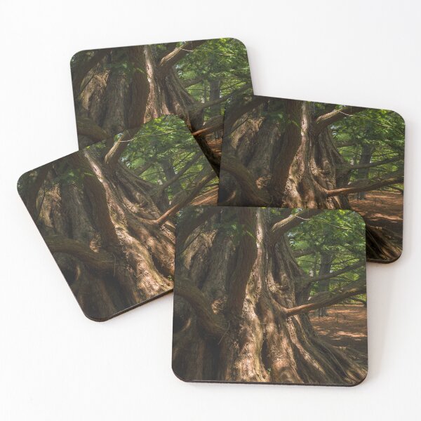 Item preview, Dawn Redwood designed and sold by rose-waterhause.