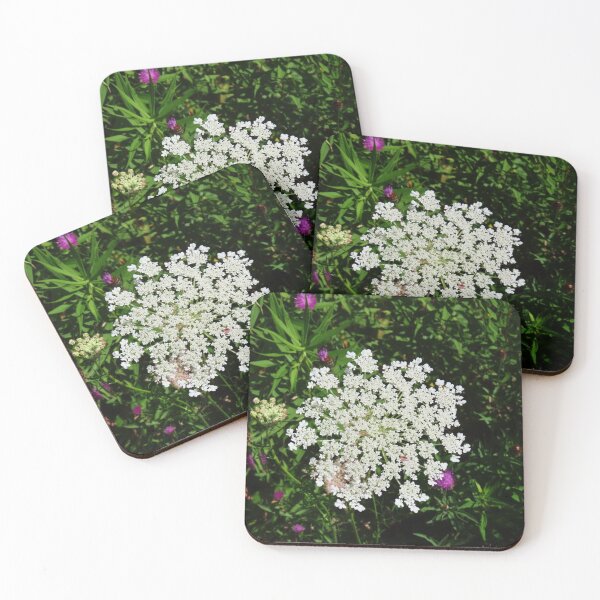 Item preview, Queen Anne's Lace flower. (1) designed and sold by Monica-Stroud.