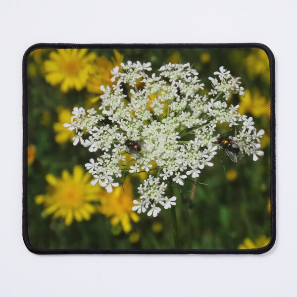 Item preview, Queen Anne's Lace flower (2) designed and sold by Monica-Stroud.