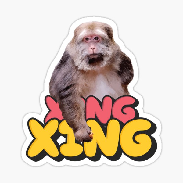 Meme little monkeys heart Sticker by aburuham