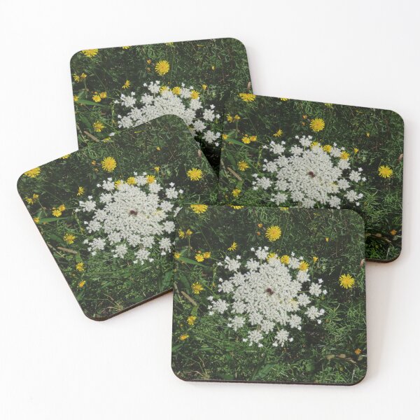 Item preview, Queen Anne's Lace flower (3) designed and sold by Monica-Stroud.