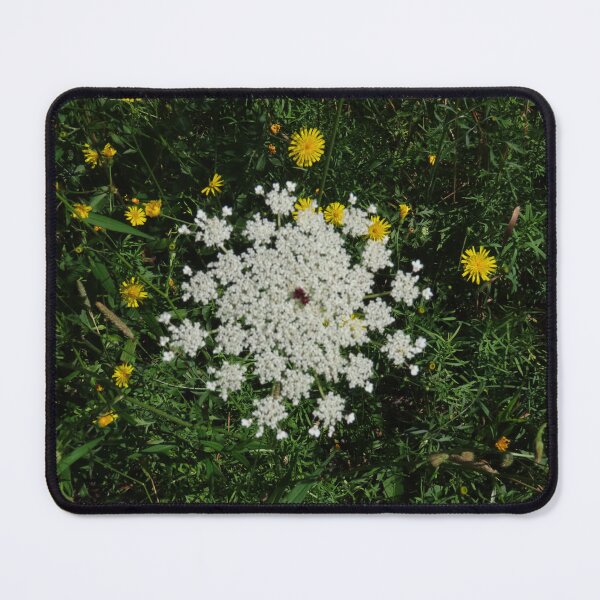 Item preview, Queen Anne's Lace flower (3) designed and sold by Monica-Stroud.