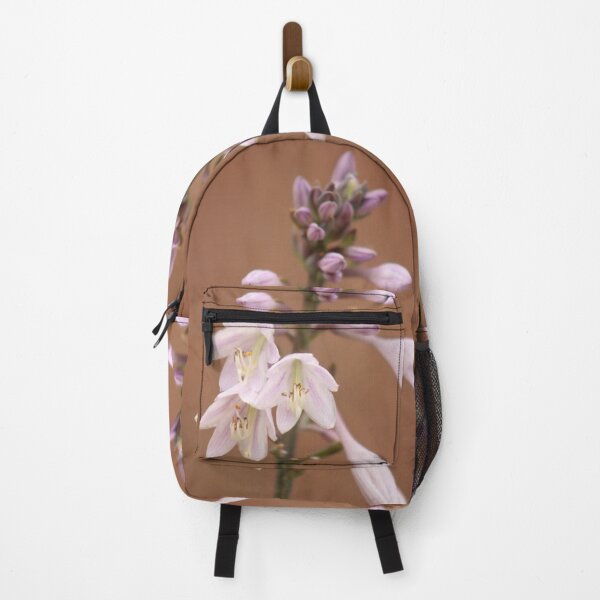 Item preview, Hosta capitata (Plantain Lily) designed and sold by MadeleineRoth.