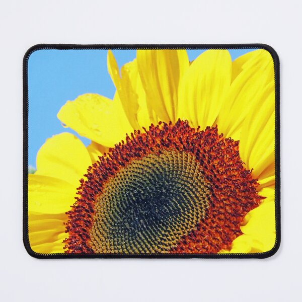 Item preview, Big Beautiful Sunflower designed and sold by Deb Oppermann.