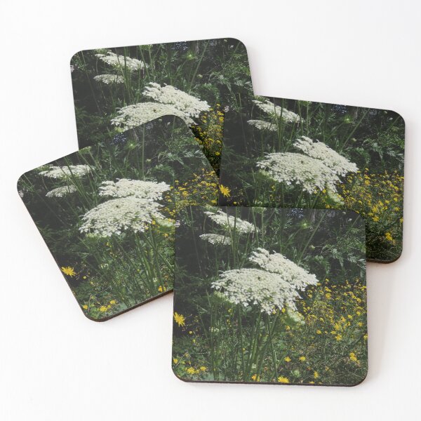 Item preview, Queen Anne's Lace flower (4) designed and sold by Monica-Stroud.
